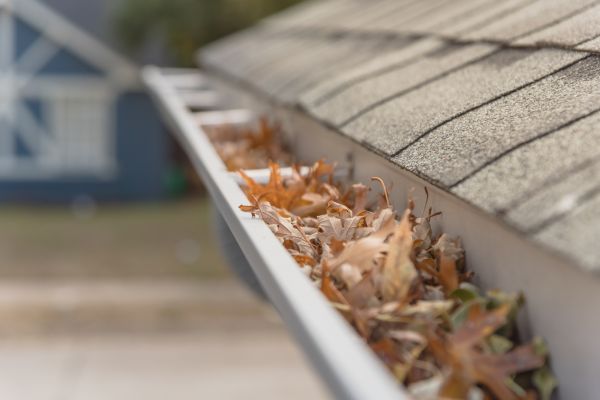 Leaf Barrier Installation in Clover